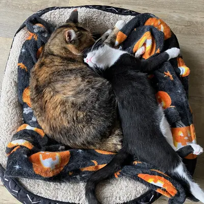 Sophie & Midna